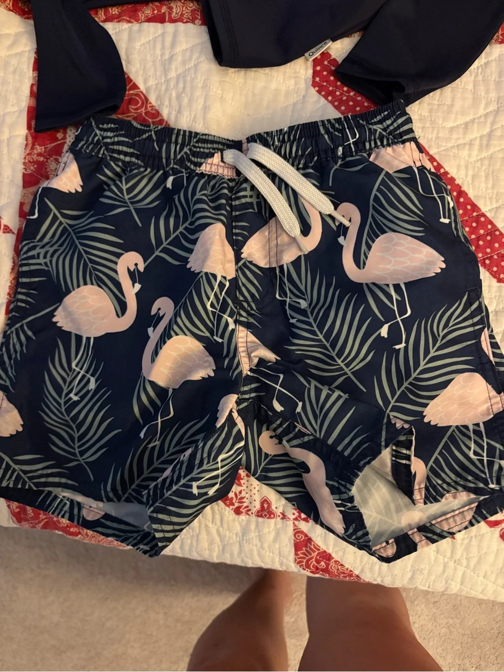 Boys’ 2pc Swimwear Outfit with Rashguard LS Top (4T)